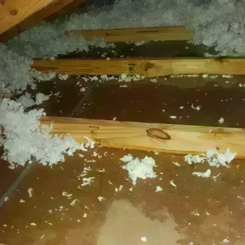 Attic Water Damage in Wharton, PA